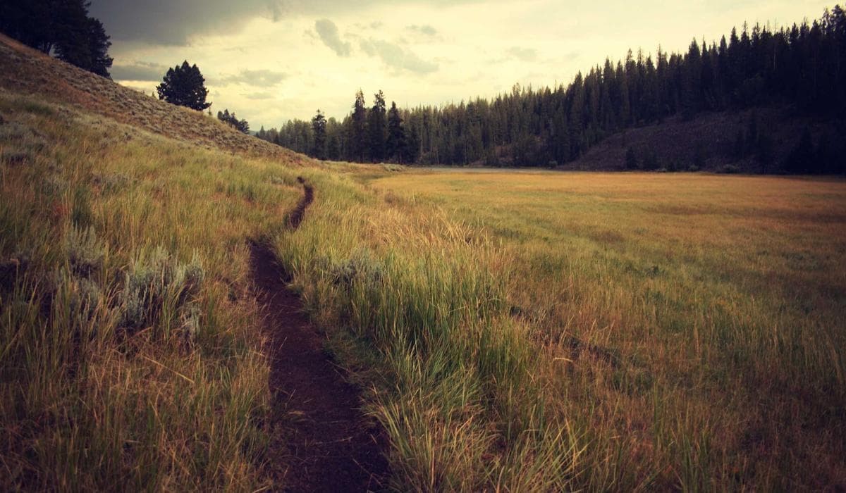 Dummy Project 1 screenshot 1