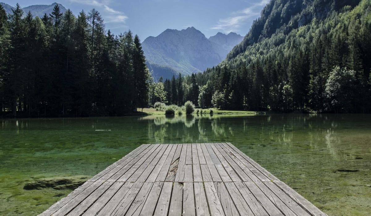 Dummy Project 3 screenshot 3