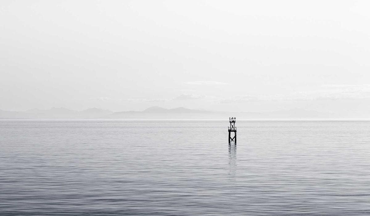 Dummy Project 4 screenshot 2