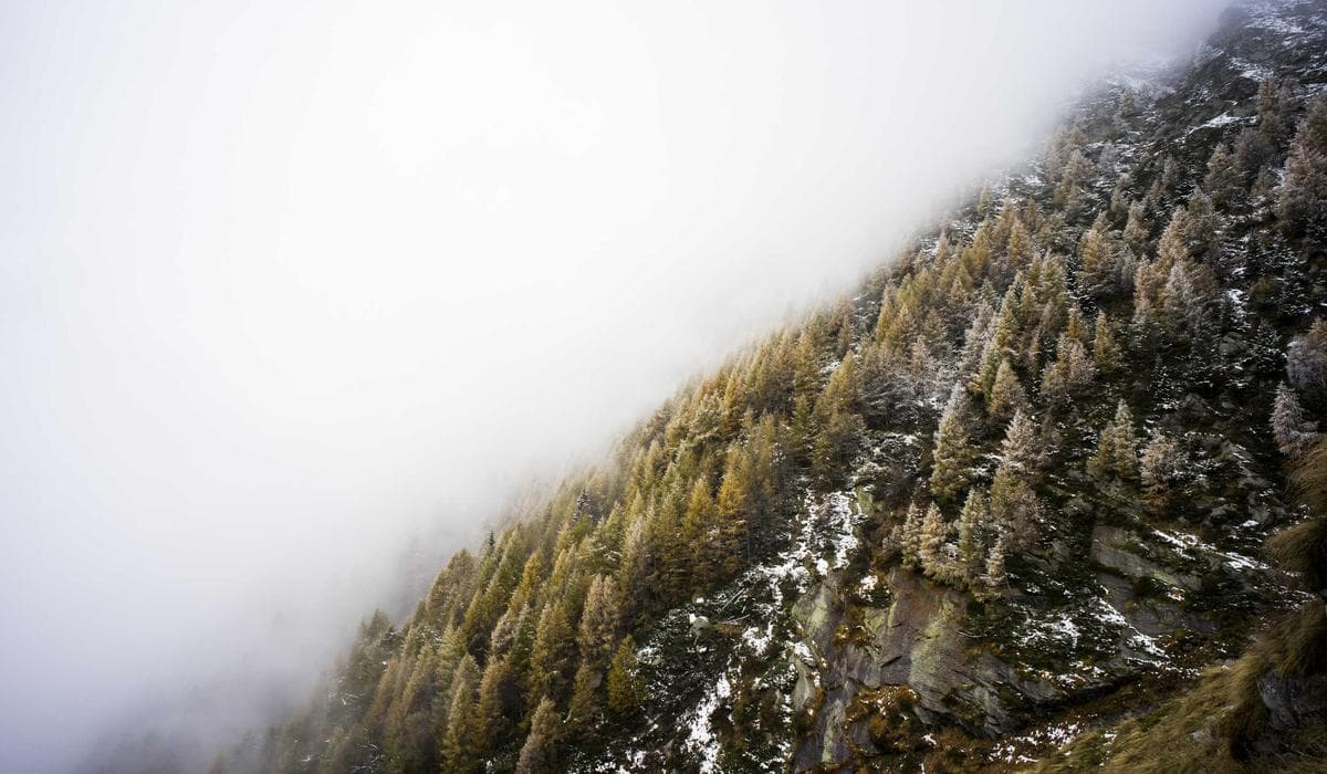 Dummy Project 5 screenshot 3