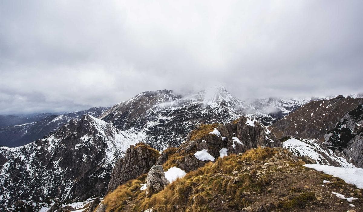 Dummy Project 6 screenshot 2