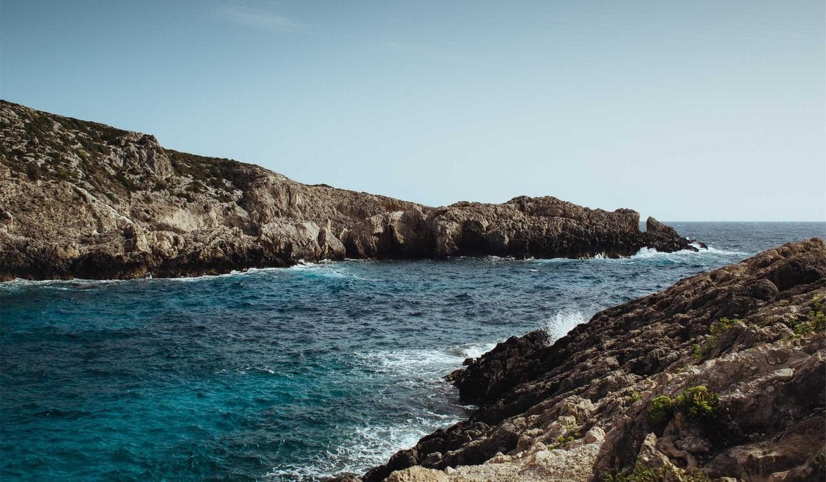 Dummy Project 6 screenshot 3